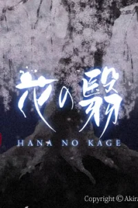 Тень цветущей вишни